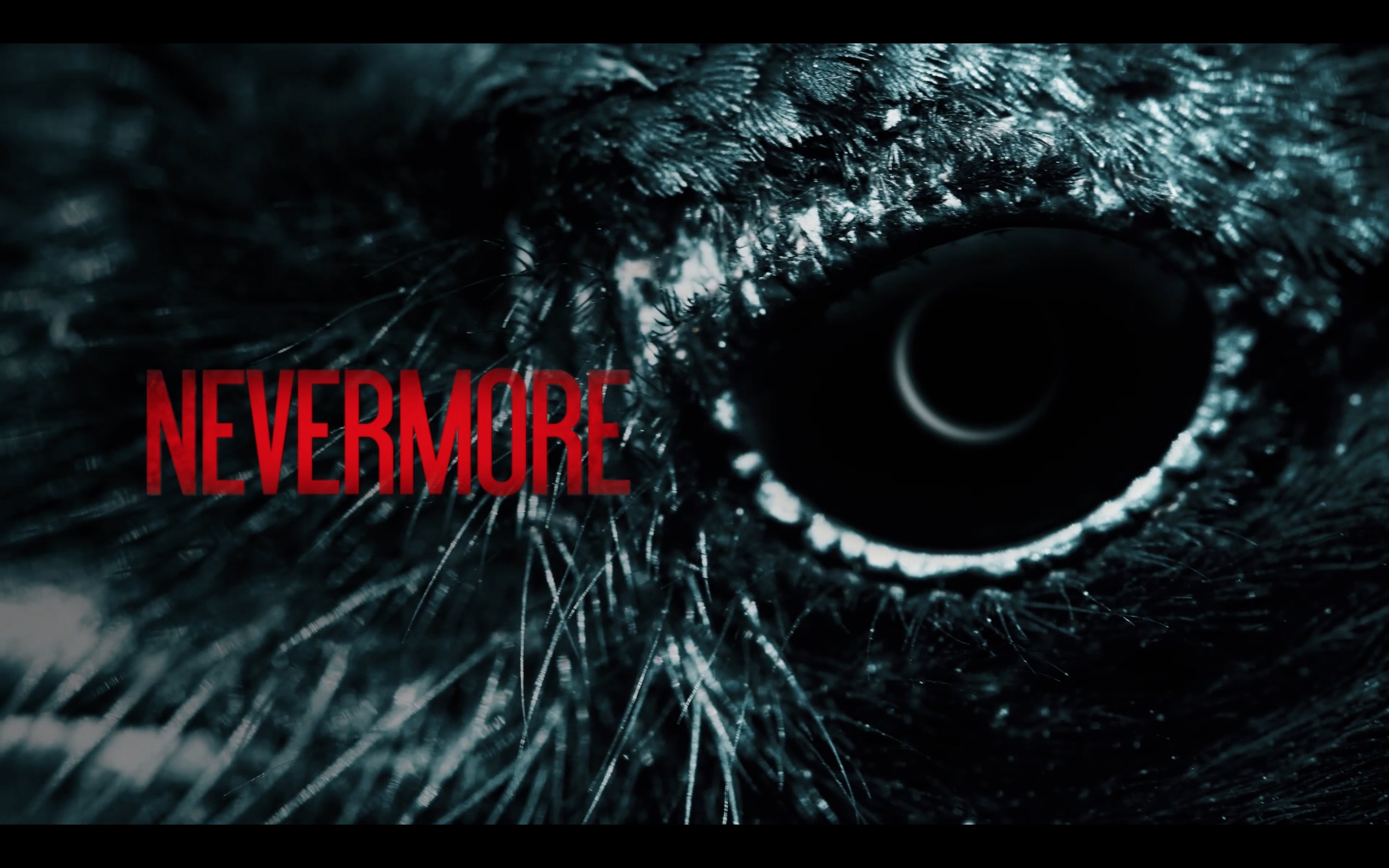 Teaser Nevermore